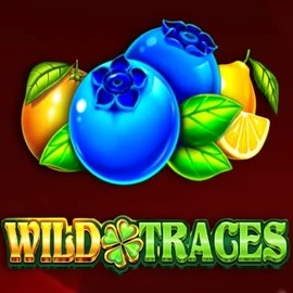 Wild Traces online game logo by Amusnet Interactive on bro-winner.eu.com